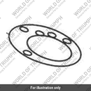 Seal, Base, Fuel Filler (T2500468)