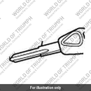 Key, Blank, Badged (T2500511)