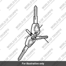 Key, Cut, Unbadged (T2500514)