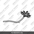 Supplementary harness (T2500538)