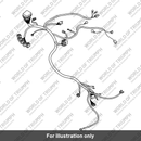 Main harness (T2500542)
