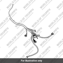 Main harness (T2500543)