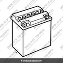 Battery, Multipack (5) (T2500591)