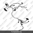 Main harness (T2500688)