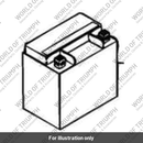Battery (T2500980)