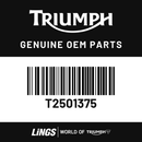 Display Cap, High Beam (T2501375) barcode