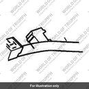 Harness, Main (T2501480)