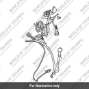 Starter Lead (T2501939)