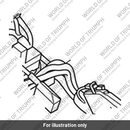 Main Harness (T2501954)