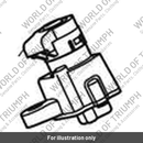 Steering Lock (T2502119)