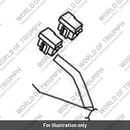 Harness, Main, ABS (T2502168)