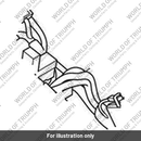 Main Harness (T2502370)