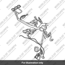Main Harness (T2502474)