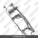 Main Harness (T2502476)