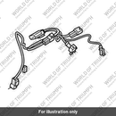 Sub Harness, Engine (T2502562)