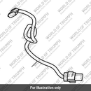 Flylead, TSA (T2502636)