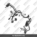 Main Harness (T2503178)