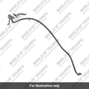 Subharness, Rear Number Plate (T2503338)