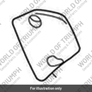 Headstock Cover, RH, Outer (T2503387)