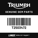 Instrument Pack, TFT, MPH, US (T2503472) barcode
