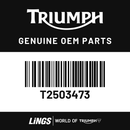 Instrument Pack, TFT, KMH, EU (T2503473) barcode