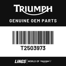 Instrument Pack, TFT, KMH EU (T2503973) barcode