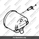 Knob (T2504002)