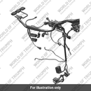 Main Harness (T2504017)