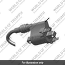 Ignition Coil (T2504137)