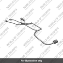 Subharness, Lights, Rear (T2504478)