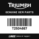 Ignition Lock Combined (T2504667) barcode