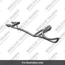 Subharness, Rear Number Plate (T2504888)