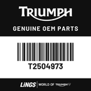 Instrument Pack, TFT, KMH, EU (T2504973) barcode