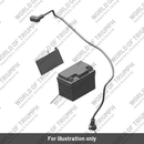 Lead, Starter Motor (T2505260)