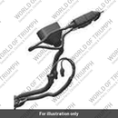 Charger, USB-C (T2505320)