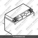 Battery, 12V, 10AH (T2505582)