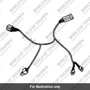 Flylead (T2506792)