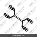 Subharness, Indicators (T2506800)