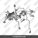 Lead, Battery, Positive (T2507072)