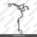 Engine Subharness (T2507099)