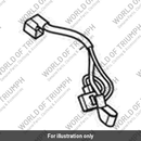 Lead, Battery Positive (T2507578)