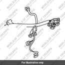 Harness, Main (T2507611)