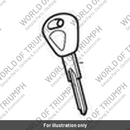 Key, Blank, Immobiliser (T2507791)