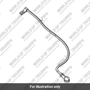 Lead, Earth (T2508394)