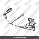 Main Harness (T2508555)
