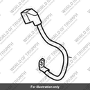 Battery Lead, Positive (T2509984)