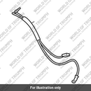 Lead, Earth (T2510001)