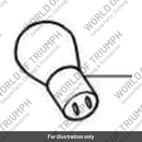 Bulb 12v (T2700144)