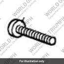 Screw (T2700196)