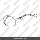 Indicator assembly (T2700288)